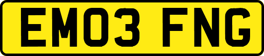 EM03FNG