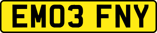 EM03FNY