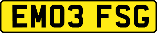 EM03FSG