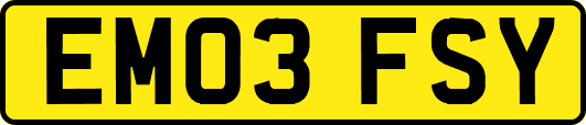 EM03FSY