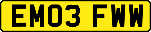 EM03FWW