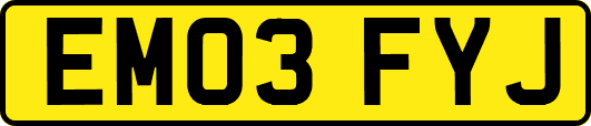 EM03FYJ