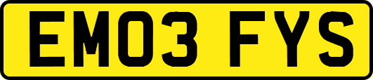 EM03FYS