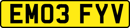 EM03FYV