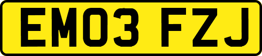 EM03FZJ