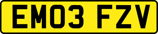 EM03FZV