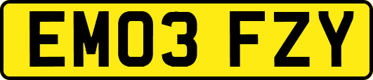 EM03FZY