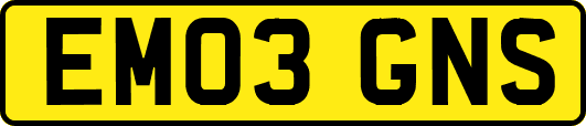 EM03GNS