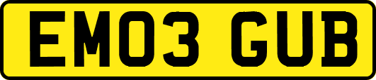 EM03GUB