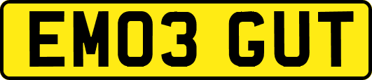 EM03GUT