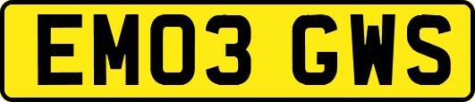 EM03GWS