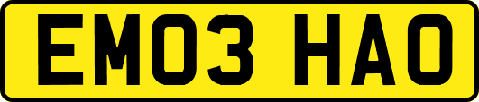 EM03HAO