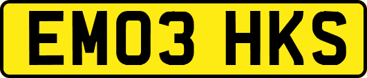 EM03HKS