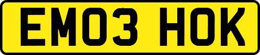 EM03HOK