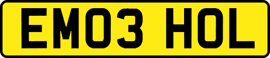 EM03HOL