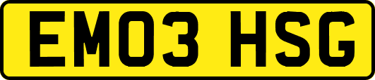 EM03HSG