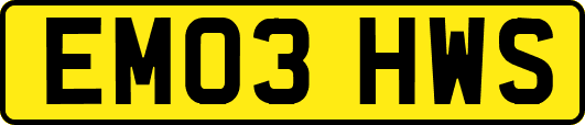 EM03HWS