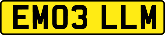EM03LLM