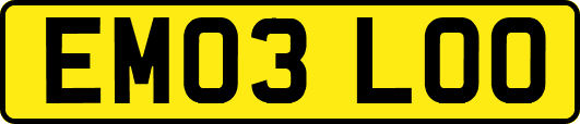 EM03LOO