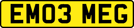 EM03MEG