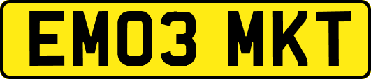 EM03MKT