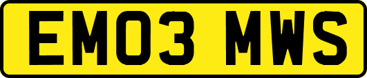 EM03MWS