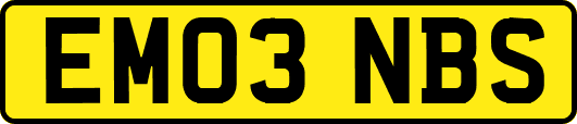 EM03NBS