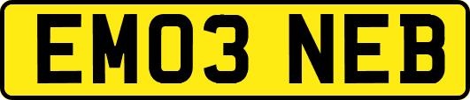 EM03NEB