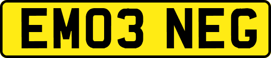 EM03NEG