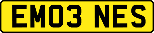 EM03NES
