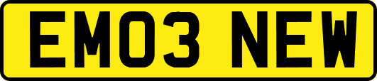 EM03NEW