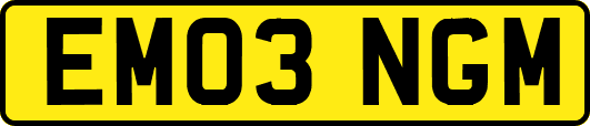 EM03NGM