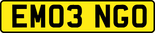 EM03NGO