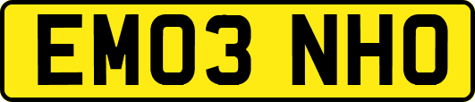 EM03NHO