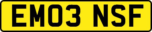 EM03NSF