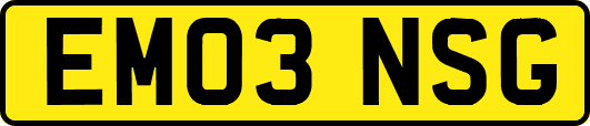 EM03NSG