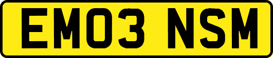 EM03NSM