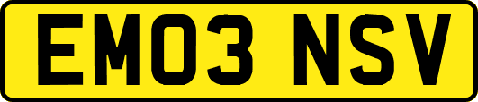 EM03NSV