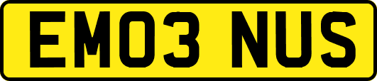 EM03NUS
