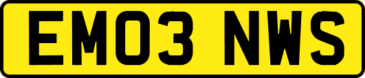 EM03NWS