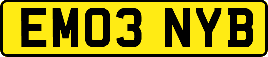 EM03NYB