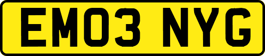 EM03NYG