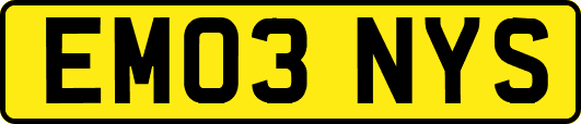 EM03NYS