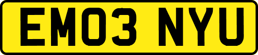 EM03NYU