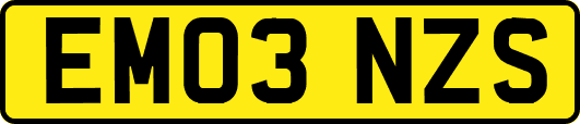 EM03NZS