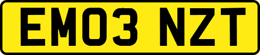 EM03NZT