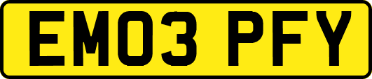EM03PFY
