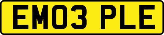 EM03PLE