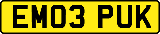 EM03PUK