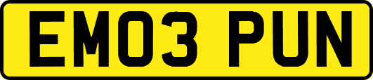 EM03PUN